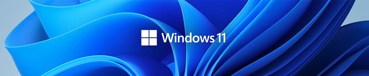 windows 11 banner