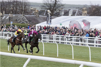 Musselburgh Racecourse