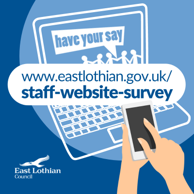 staff website survey graphic