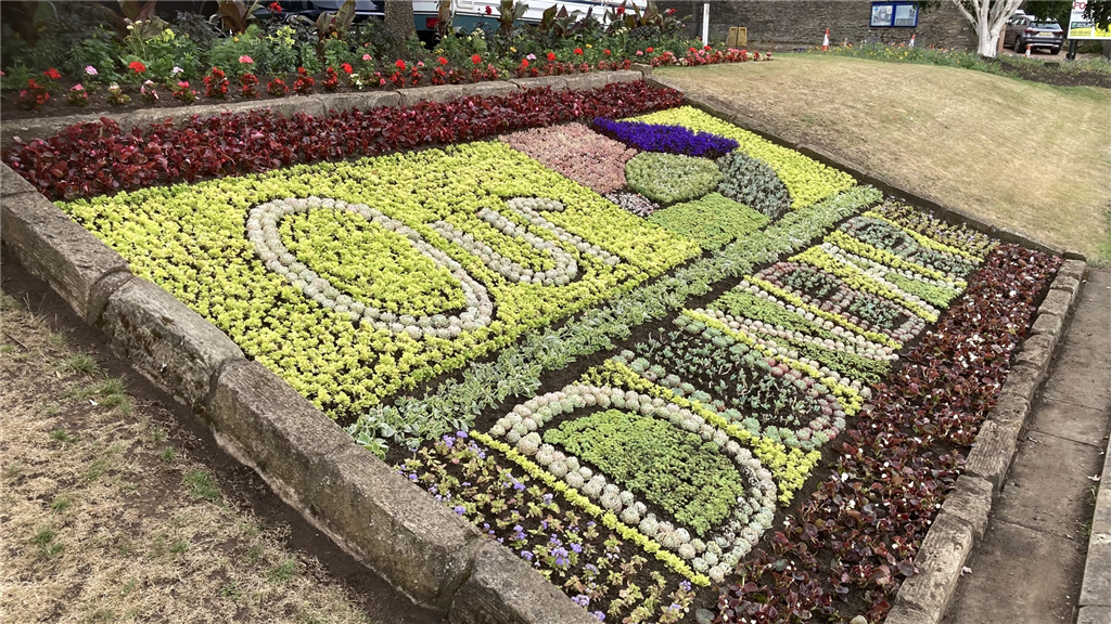 Dunbar flowers
