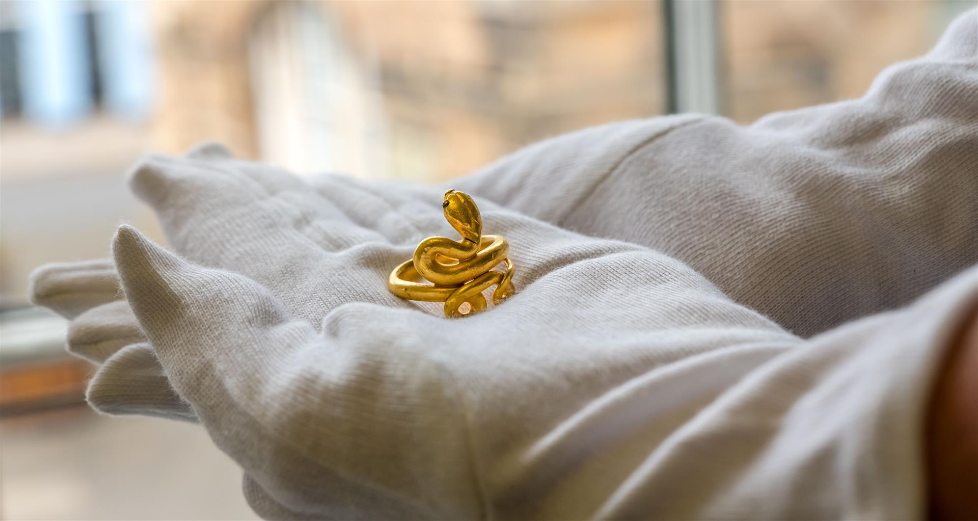 serpent ring