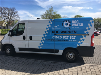 dog watch