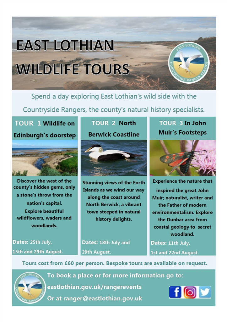 Wildlife tours