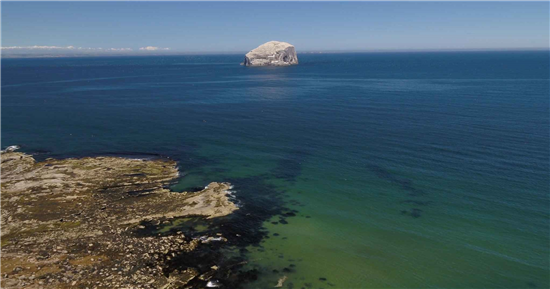 Bass Rock from Tantallon