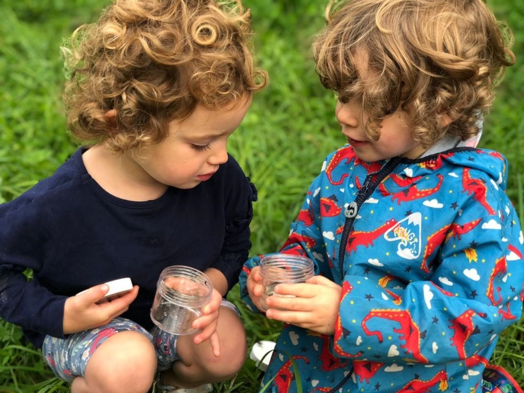 Kids minibeasts