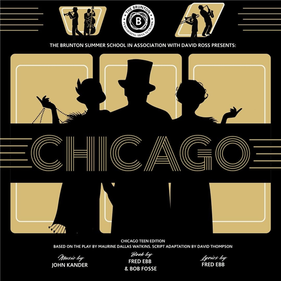 chicago teen edition