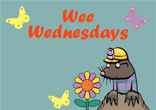 Wee Wednesday poster