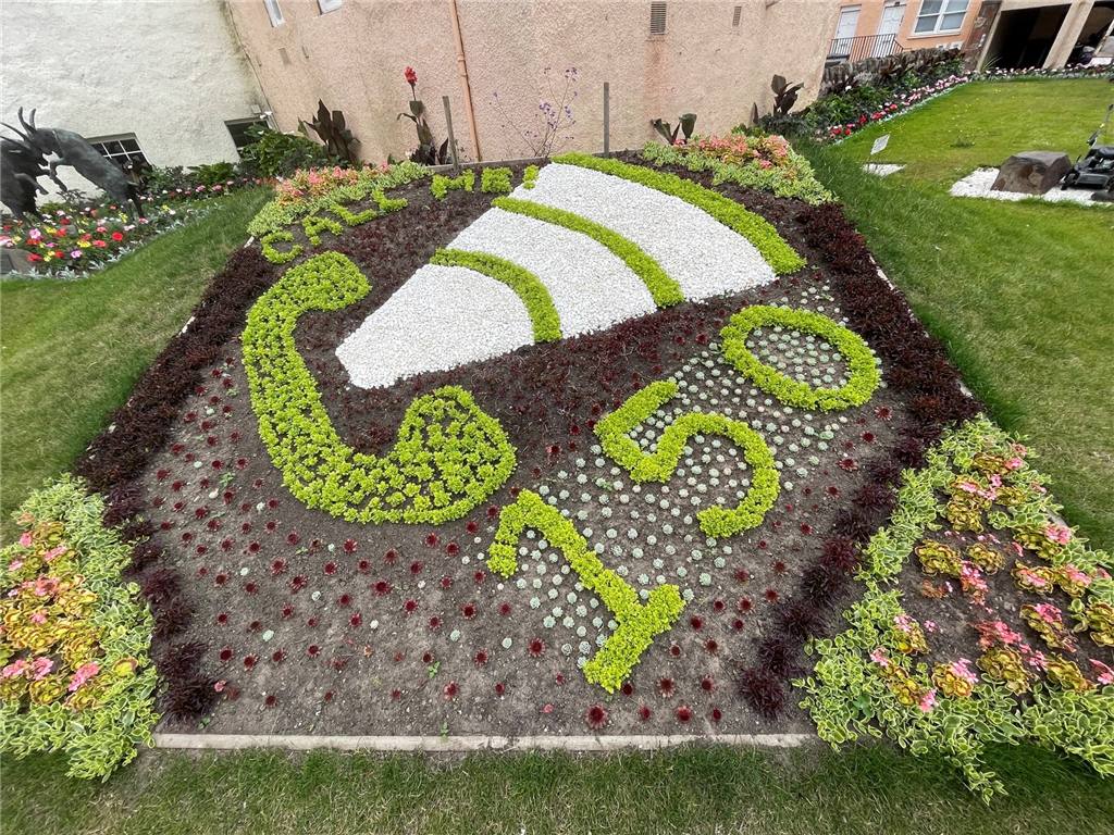 Haddington Flowers
